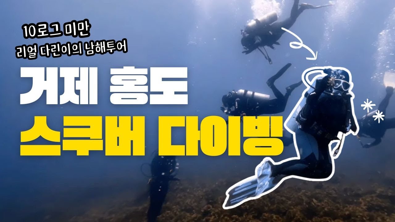 [국내 펀다이빙] 대한민국 3대 절경 홍도 스쿠버다이빙 다녀온 다린이