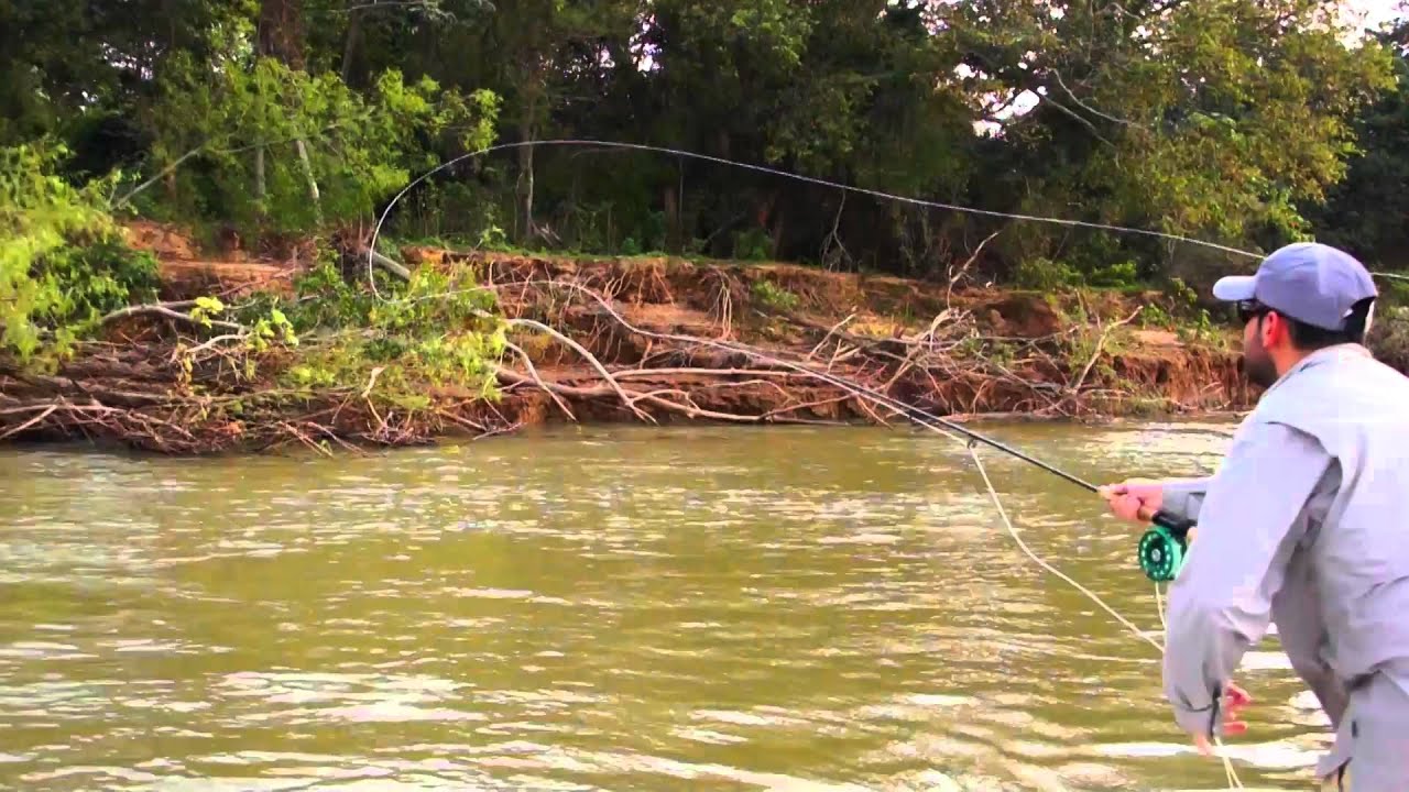 Parana River Argentina Golden Dorado fly fishing-Latin América IF4 selection.