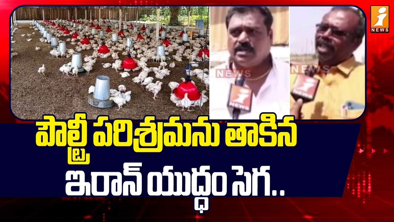 పౌల్ట్రీ పరిశ్రమను తాకిన ఇరాన్ యుద్ధం సెగ.. | Iran - US War Effect on Poultry Farms | iNews