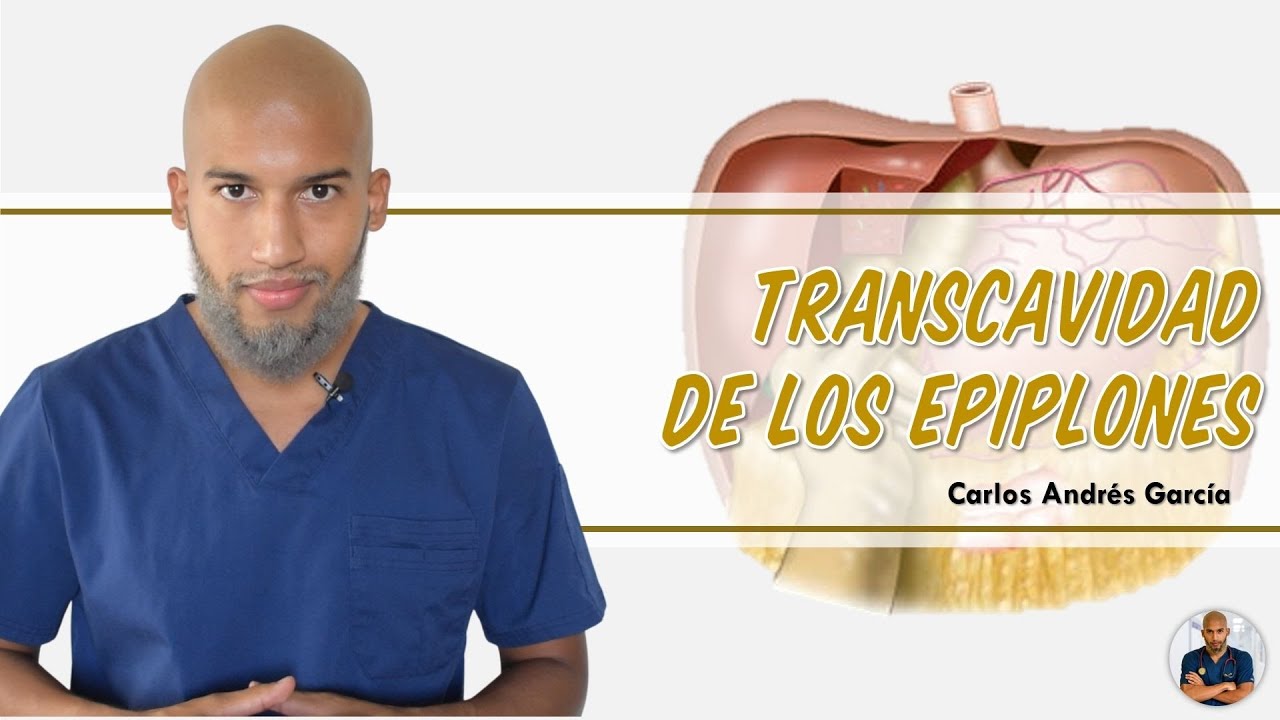 Anatomía - Transcavidad de los Epiplones (Foramen Omental de Winslow, Vestíbulo, Límites)