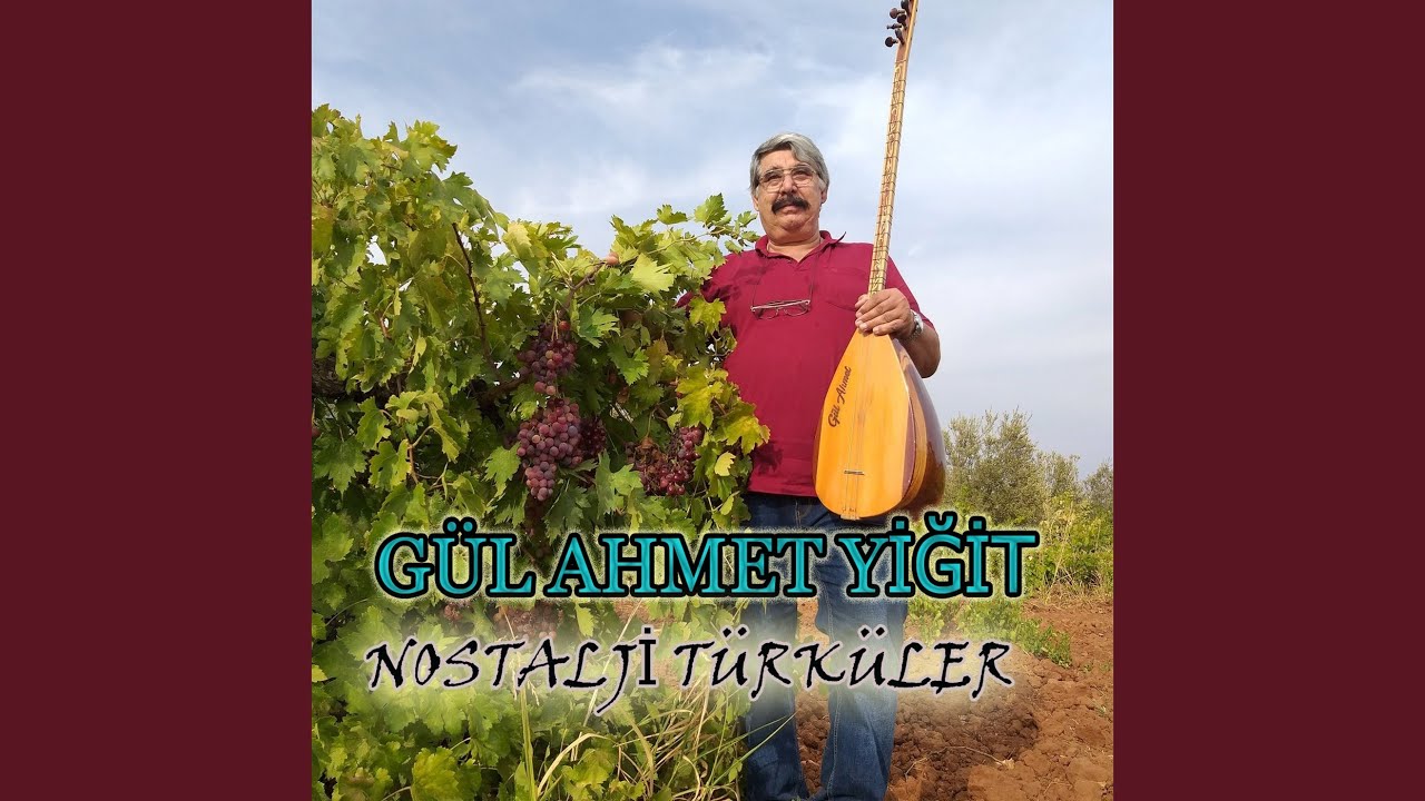 Şam Elinin Hurması