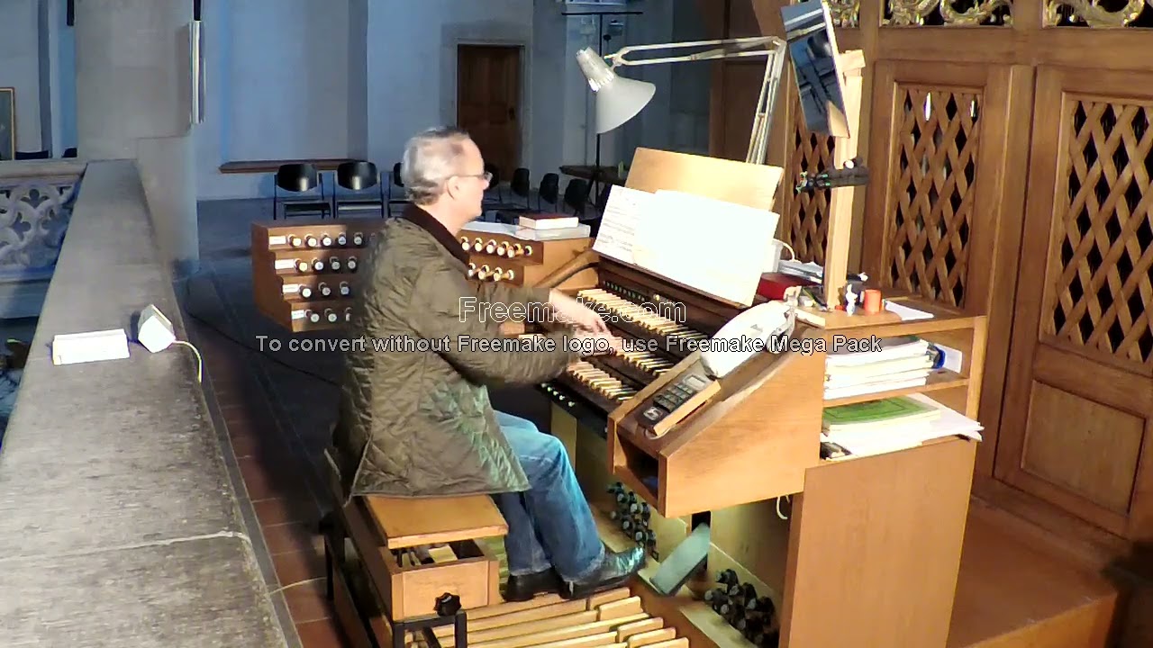Anlässilich des heutigen Todes meiner Mutter: Bach Toccata d moll BWV 564 Neueinspielung
