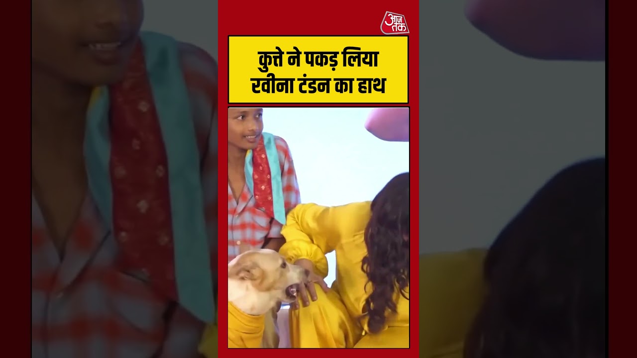 कुत्ते ने पकड़ लिया रवीना टंडन का हाथ #raveenatandon #shorts #dog #viralvideo #ytshorts #aajtak