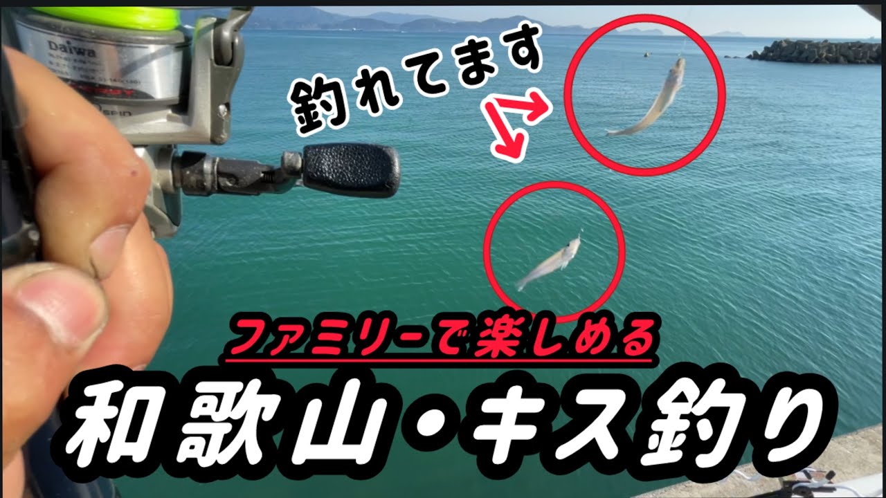 ファミリーで楽しめるキス釣りIN和歌山
