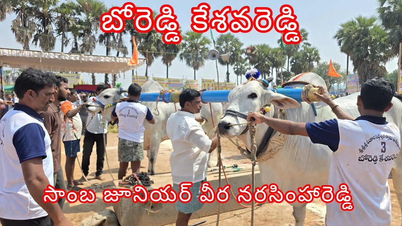 యాగంటి సీనియర్ విభాగంలో  5 బో రెడ్డి కేశవరెడ్డి పెద్దకోటాల