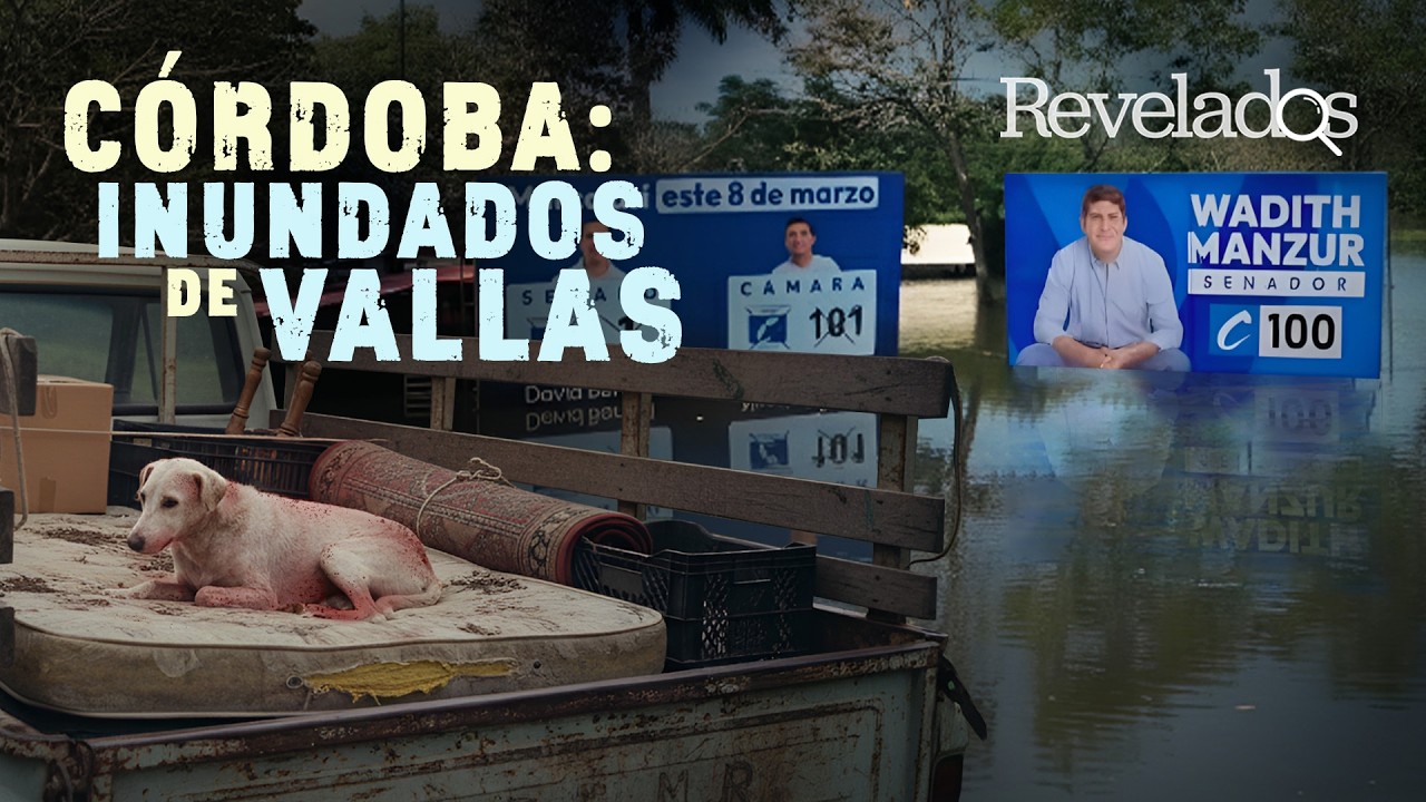 Córdoba inundada de animales políticos | Reportaje de Guillermo Gómez para Revelados