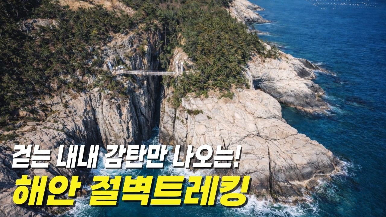 배타고 25분! 한국에서 가장 아찔한 19km 절벽 트레킹🚶‍♀️당일치기 섬여행!