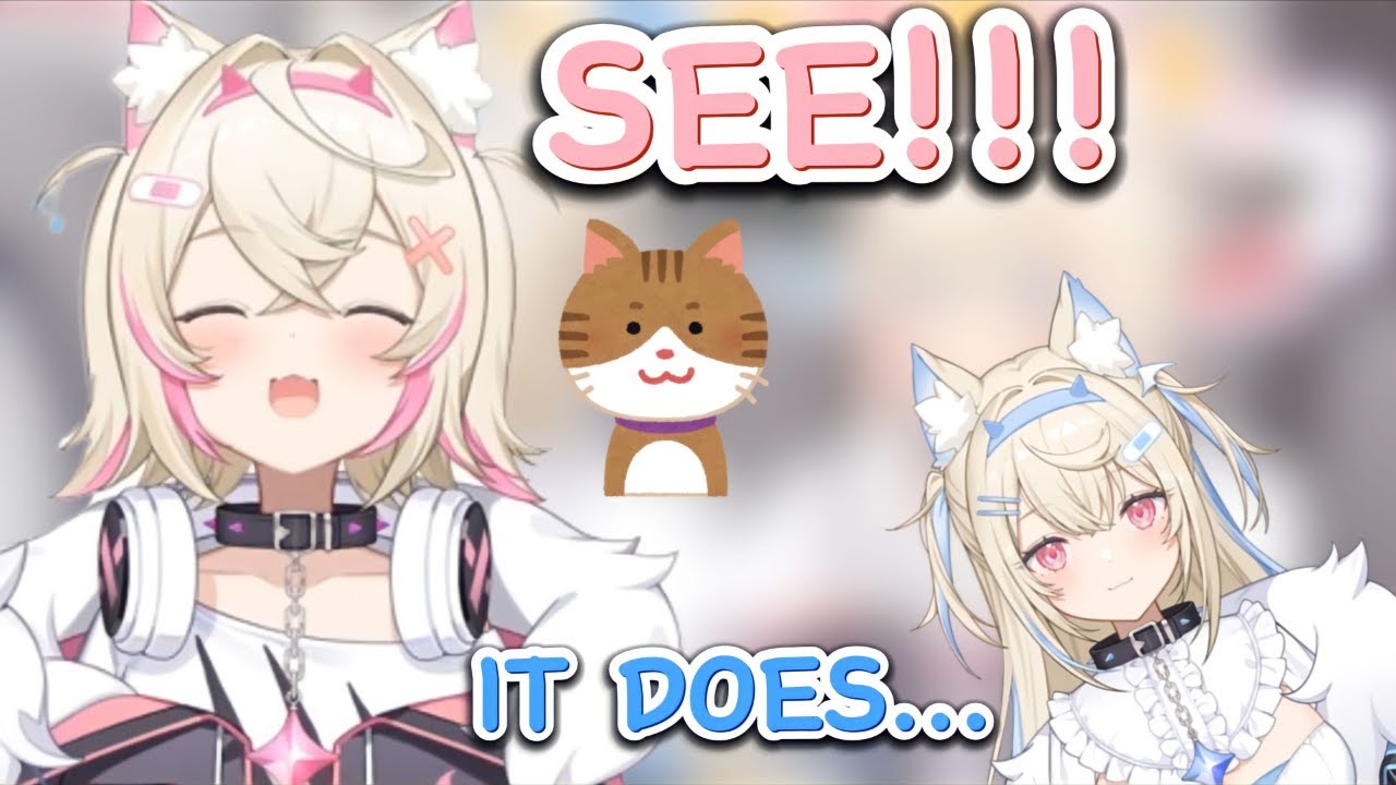 The Real Reason why Mococo likes to 