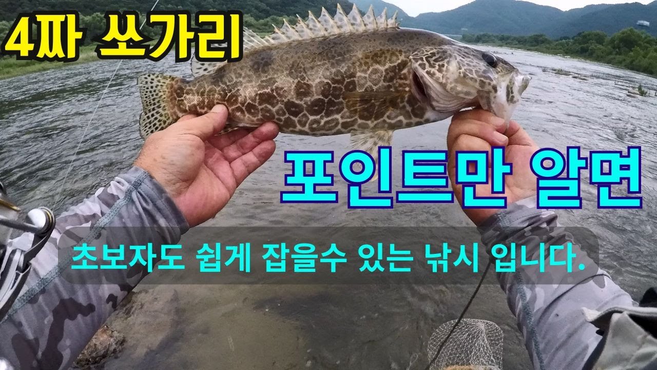 쏘가리 포인트만 알면 누구나 쉽게 잡을수 있는 낚시 입니다.#fishing#쏘가리낚시#인제쏘가리
