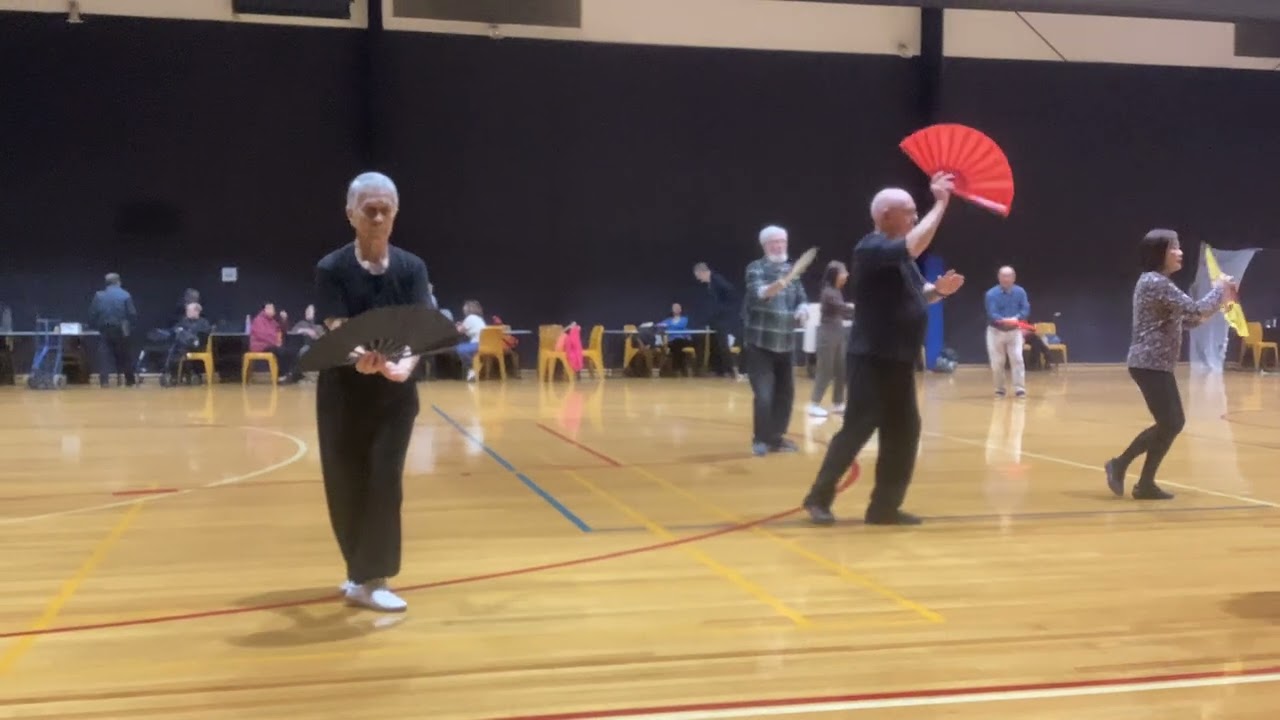 太極扇 Taiji Shan 8 May 2025