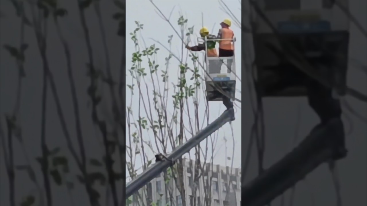 Chiny wszystko fałszują 61