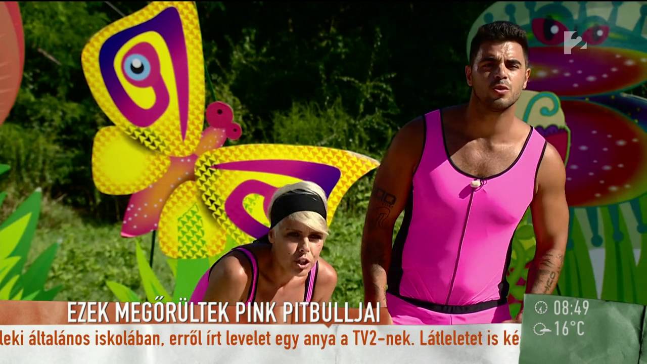 Ezek megőrültek! Fresh Andiék végig ˝vinnyogták a hetet˝ - tv2.hu/mokka