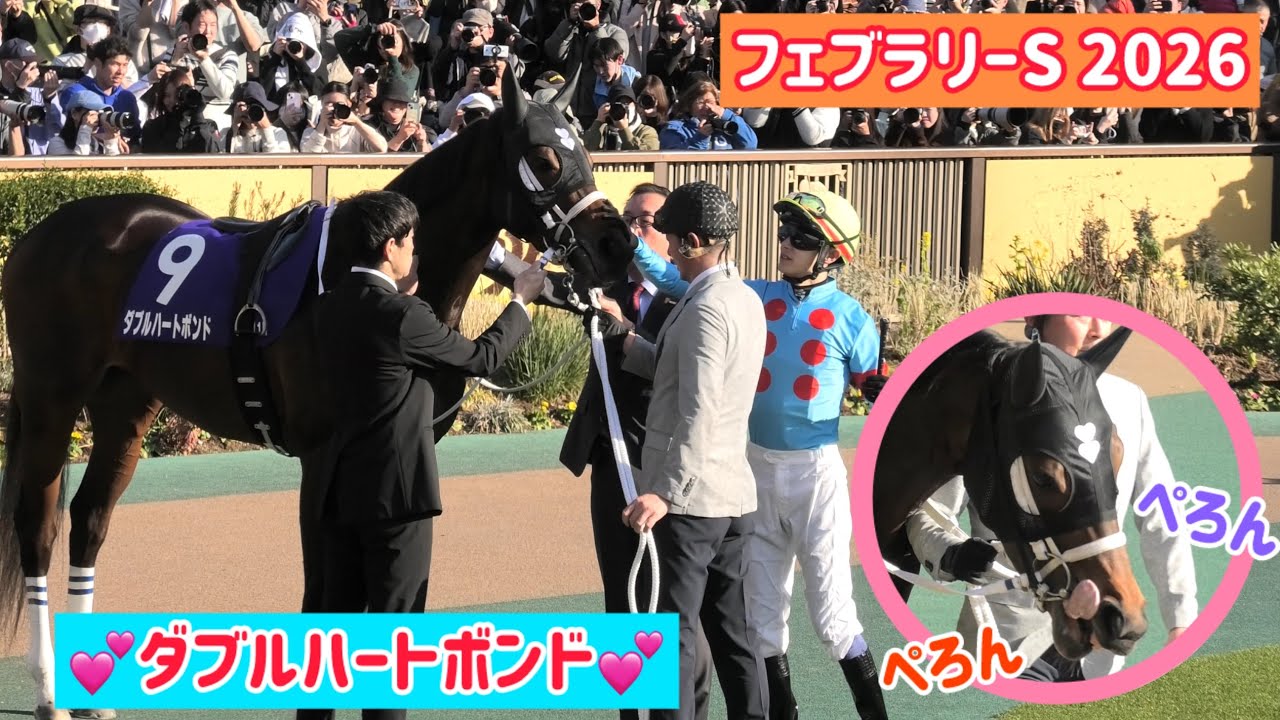 【フェブラリーS 2026】舌ぺろんぺろんさせながら牝馬初の制覇に挑んじゃうダブルハートボンド💕
