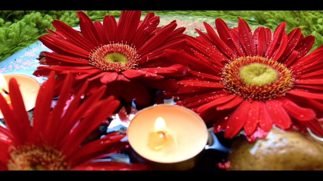 DIY Floating candle | Gerbera, vanilla water candle festive decor for xmas, valentines, diwali