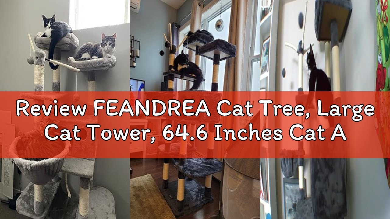 Review FEANDREA Cat Tree, Large Cat Tower, 64.6 Inches Cat Activity Center Cat Condo, Smoky Gray UPC