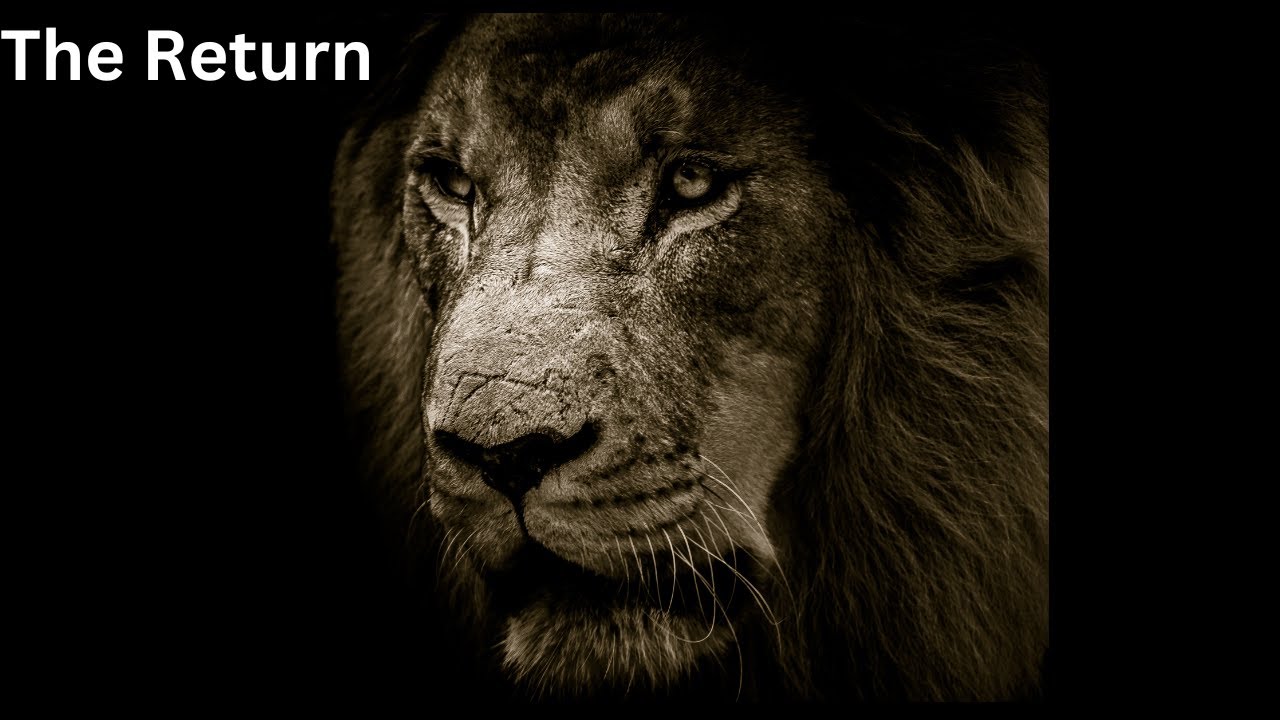 The Return by Flamelab Entertainment