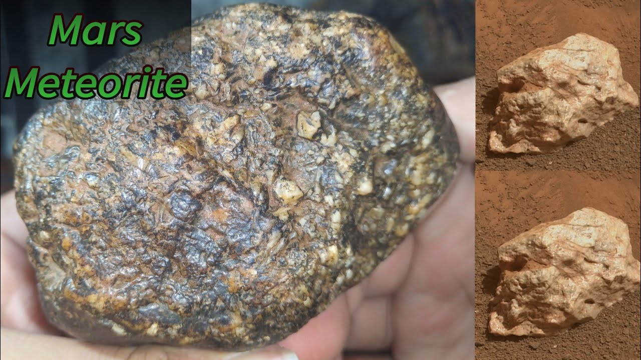 Mars Meteorite