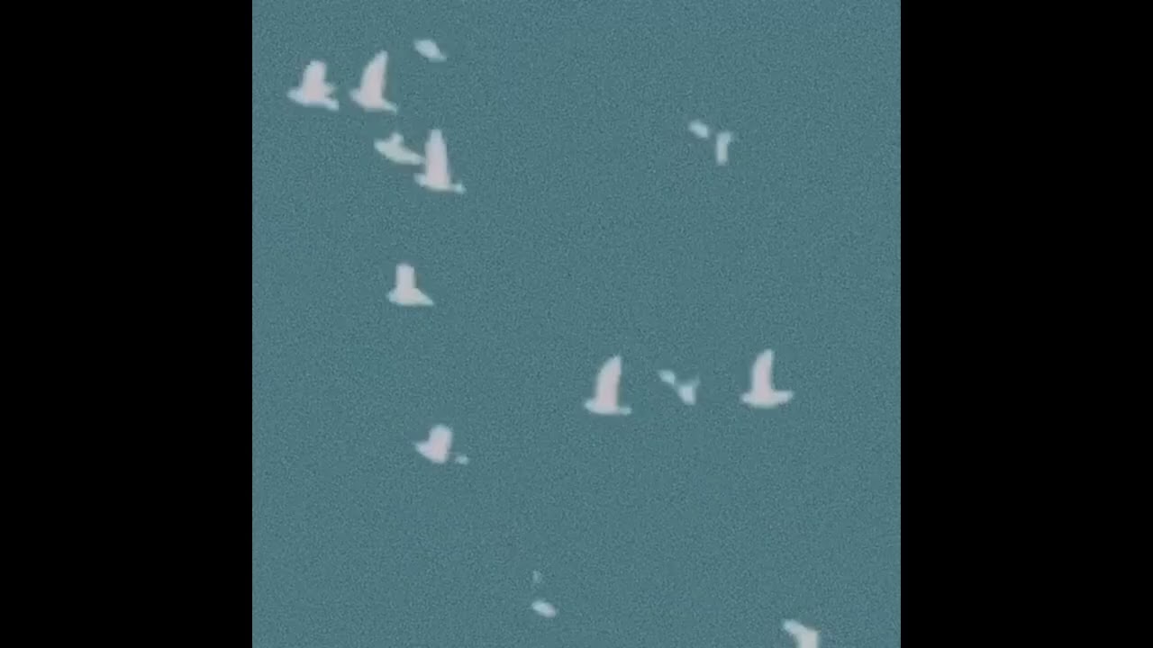 (free) Cochise x Don Toliver type beat 