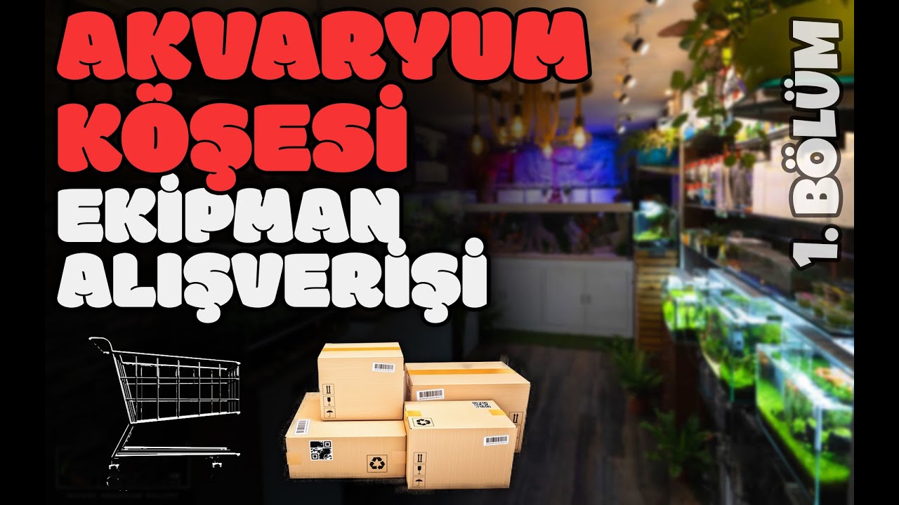 Akvaryum Köşesi Kurulumu - 1. Bölüm | Köşemiz İçin Yaptığım Ekipman Alışverişi