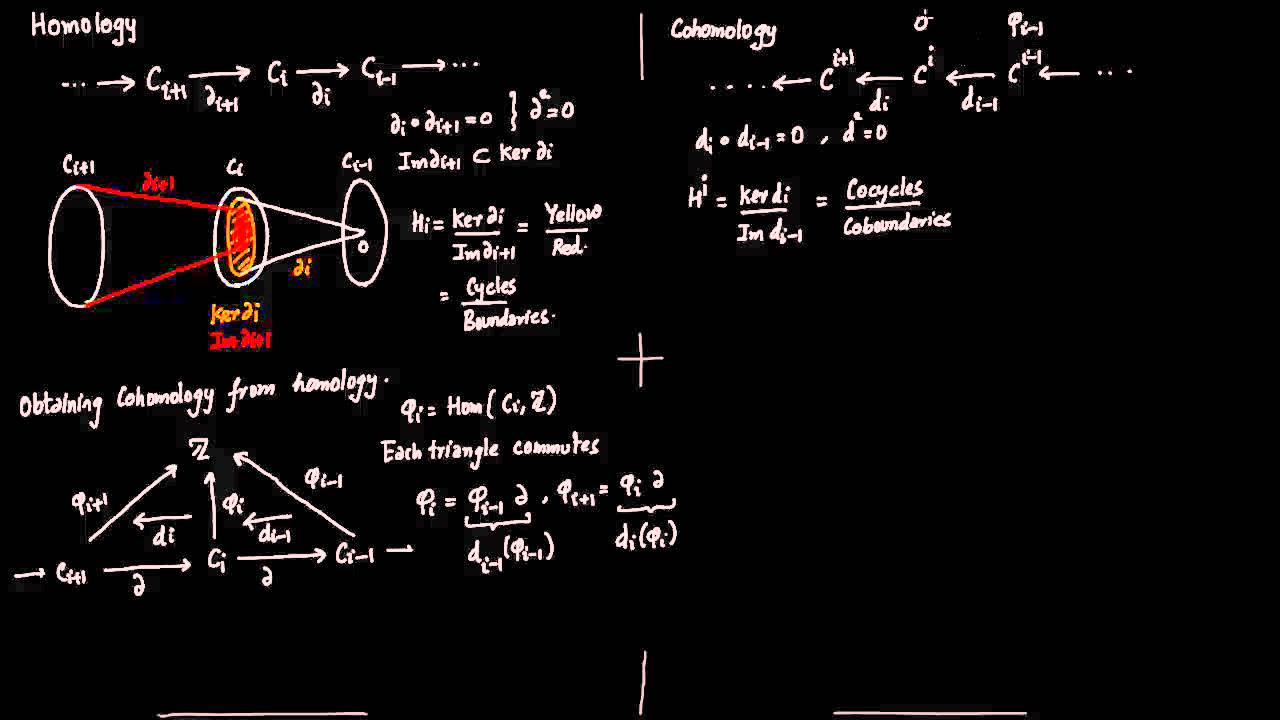1. Introduction to Cohomology (Revised)