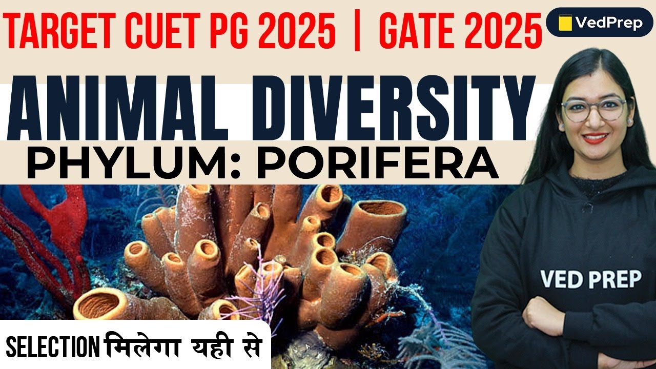 Animal Diversity | Phylum Porifera | CUET PG 2025 | GATE 2025 | VedPrep Biology Academy