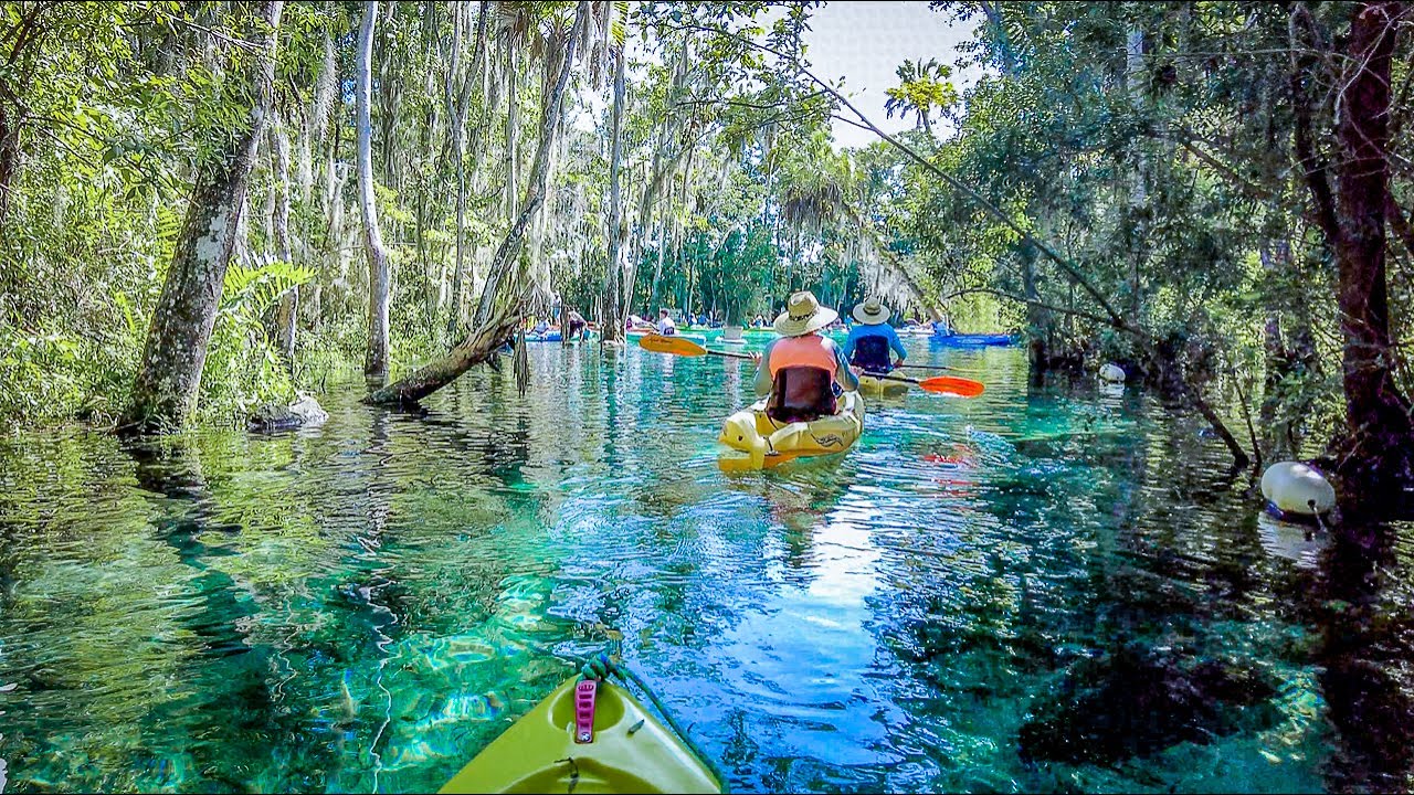 What to Know When Kayaking Crystal River & Three Sisters Springs During Summer
