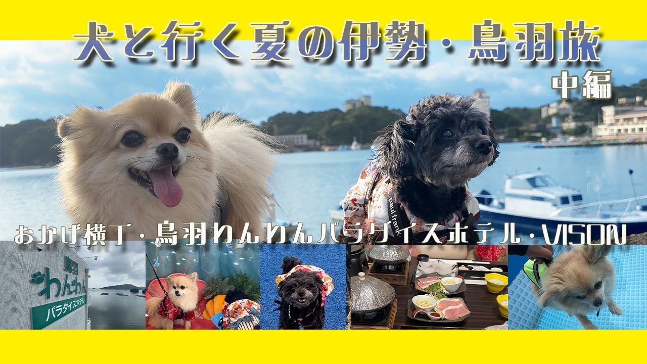 【犬と夏の三重旅行】中編 鳥羽わんわんパラダイスホテルをじっくりご紹介しますやで！【おかげ横丁】【vison】【伊勢志摩】