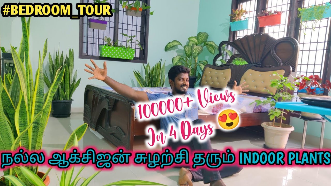 INDOOR PLANTS | வீட்டிற்குள் சிறப்பான ஆக்சிஜன் சுழற்சி தரும் செடிகள்  | GREENISH | BED ROOM TOUR