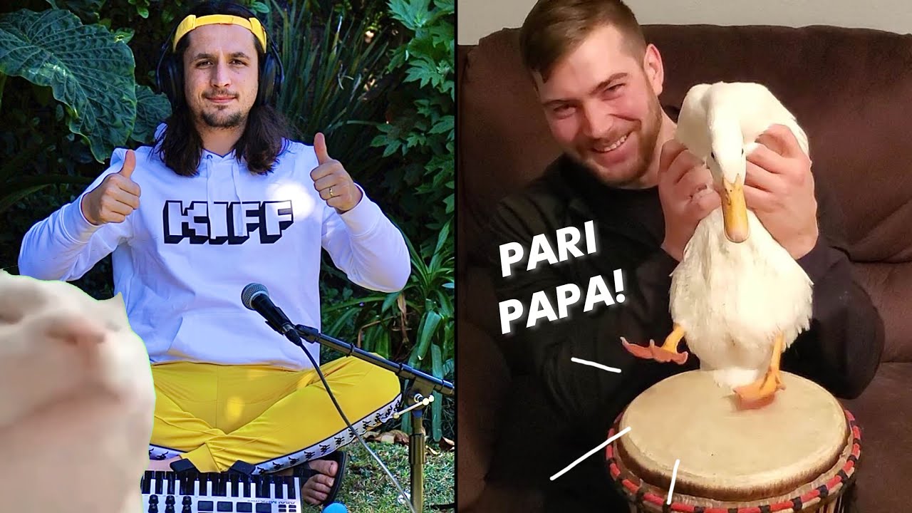 Ievan Polkka, but with ducks (The Kiffness Duck Club Remix)