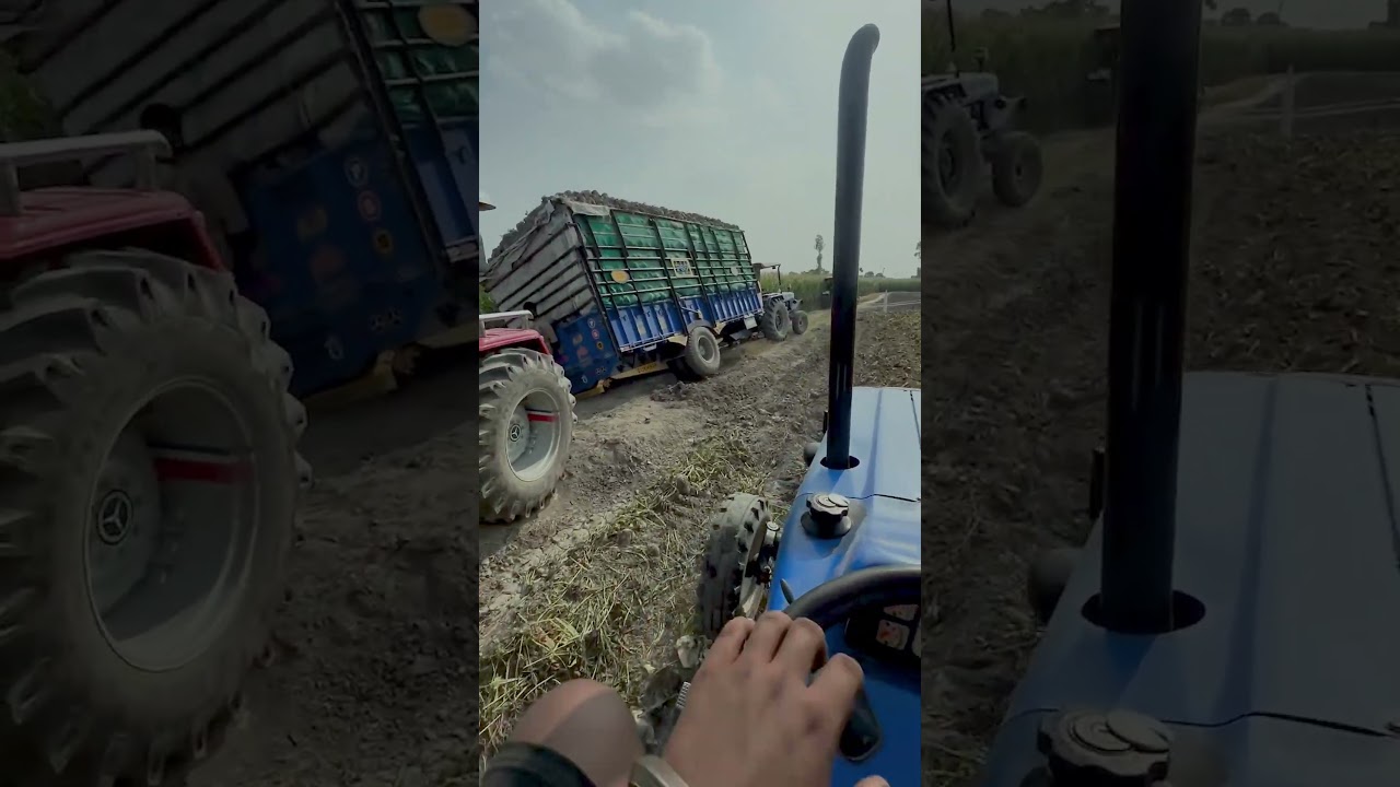 New Holland 3630 Special Edition 2025 | 3630 | new holland 3630 tractor | new holland new holland