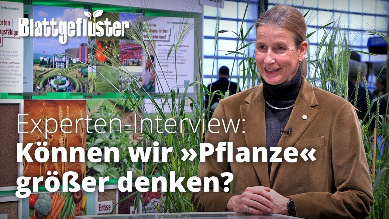 K&ouml;nnen wir 