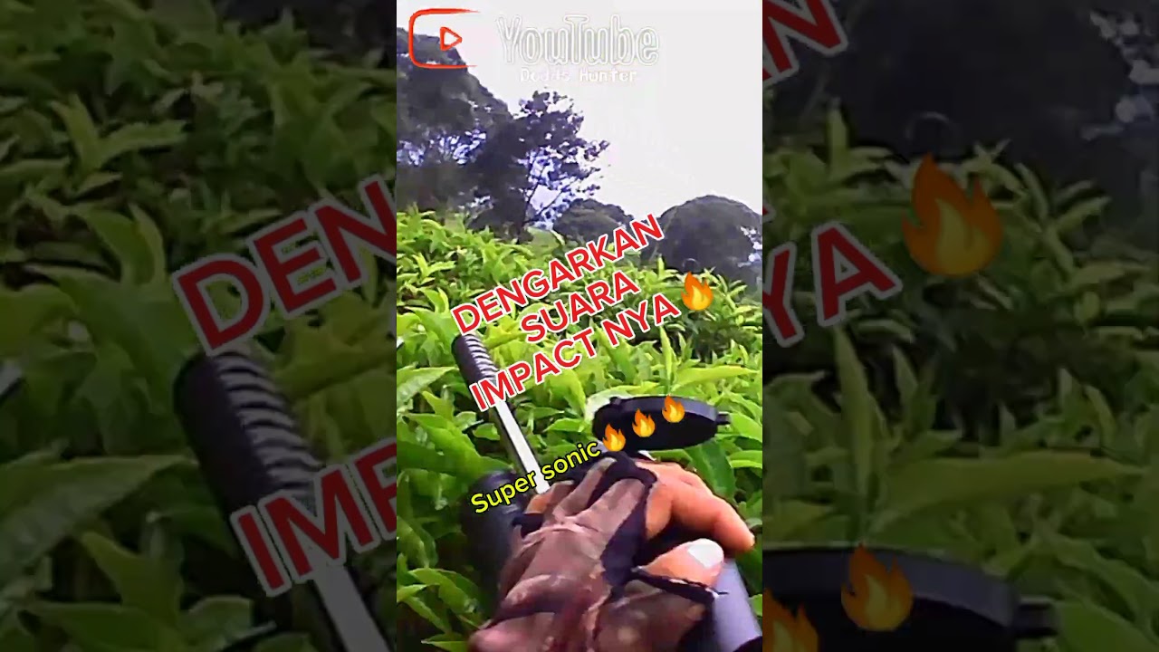 senapan predator super sonic🔥😎#shorts #sniper #akurasiterbaik #berburutekukur #tekukurliar