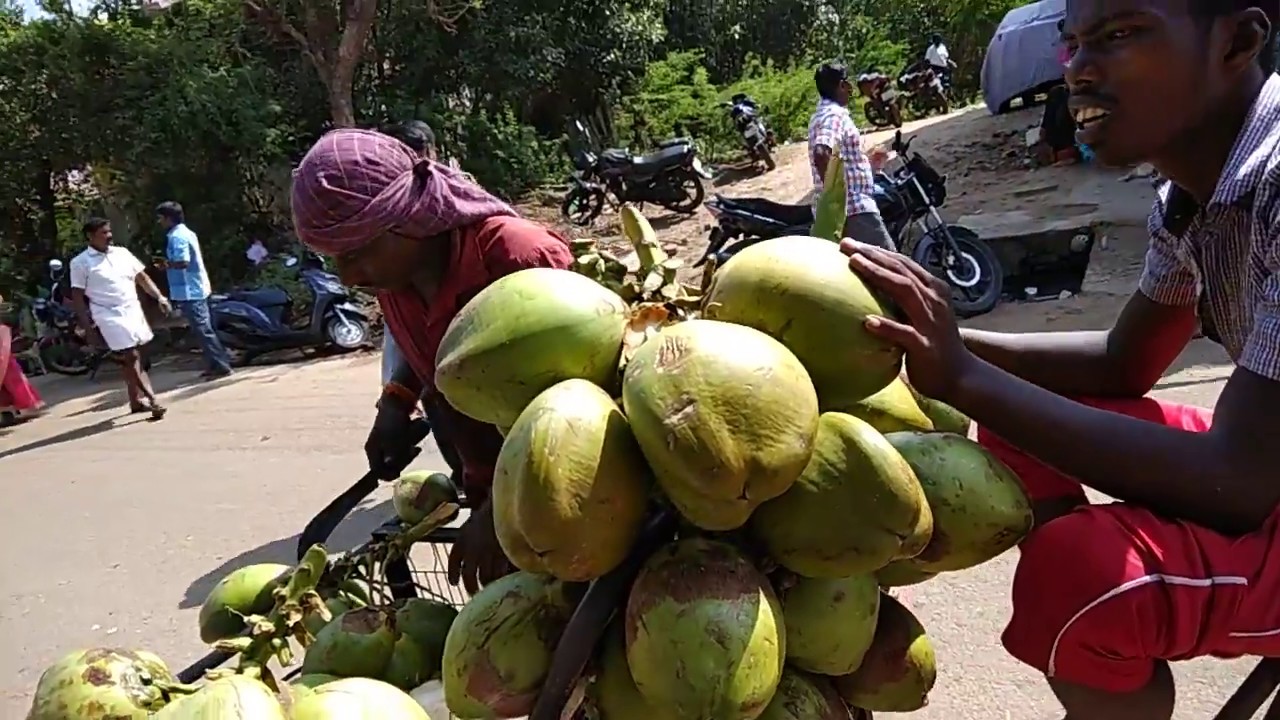 Amazing coconut cutting skills by indian