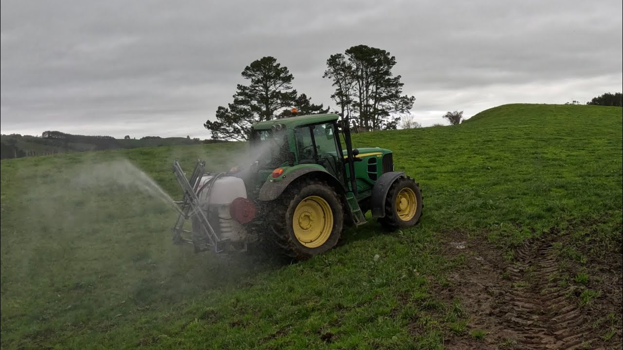 Is the grass starting to move? Spraying gibberellic acid and urea