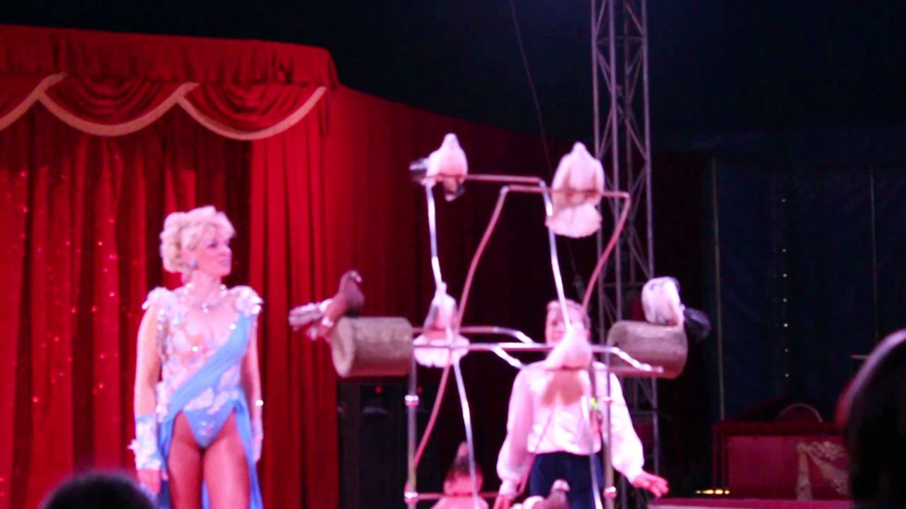 Cyrk Prince gołębie 9.05.2015