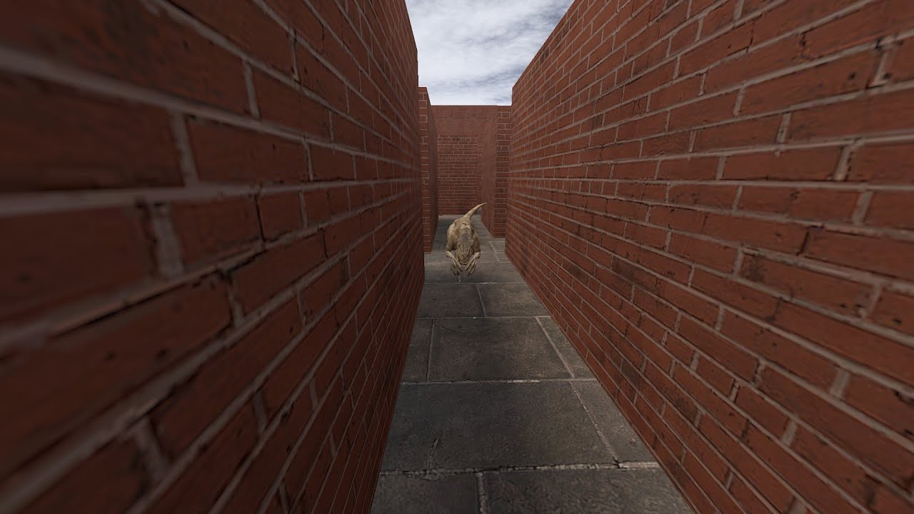 Dino maze with my friend in gmod :D