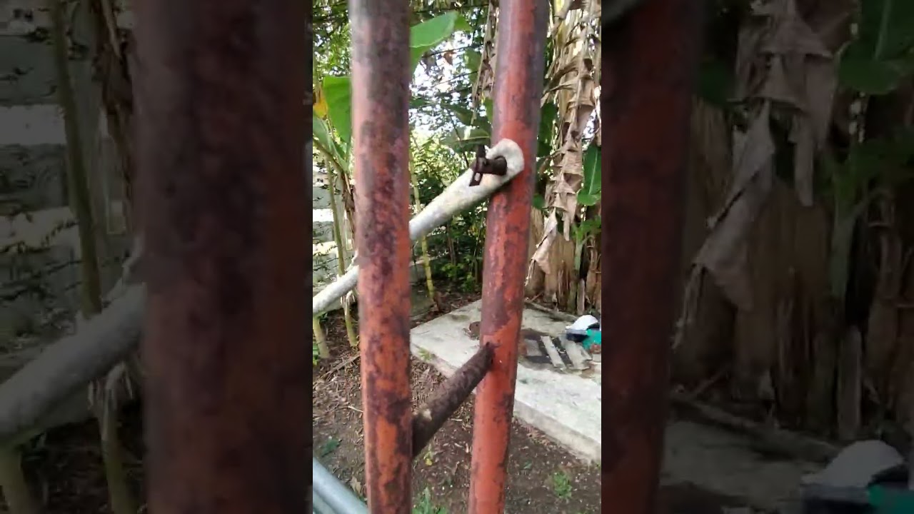 Replanting Nur Permai right side yard