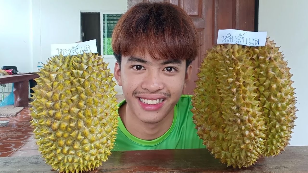 หลินลับแล ราชาทุเรียนแห่งเมืองอุตรดิตถ์ มาพร้อมราชินีหลงลับแล มาชิมเนื้อกันครับจะสมคำลํ่าลือหรือไม่.