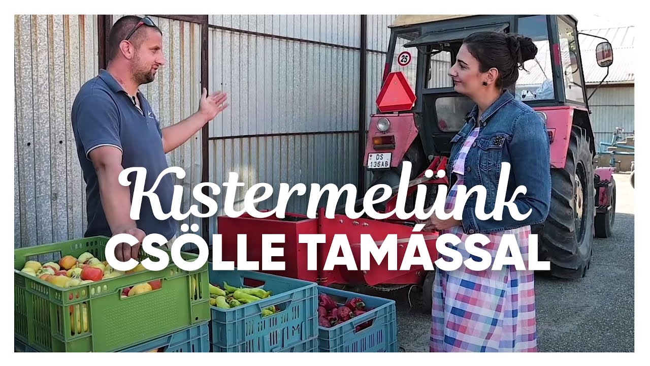 KisTermelünk a nyárasdi Csölle Tamással