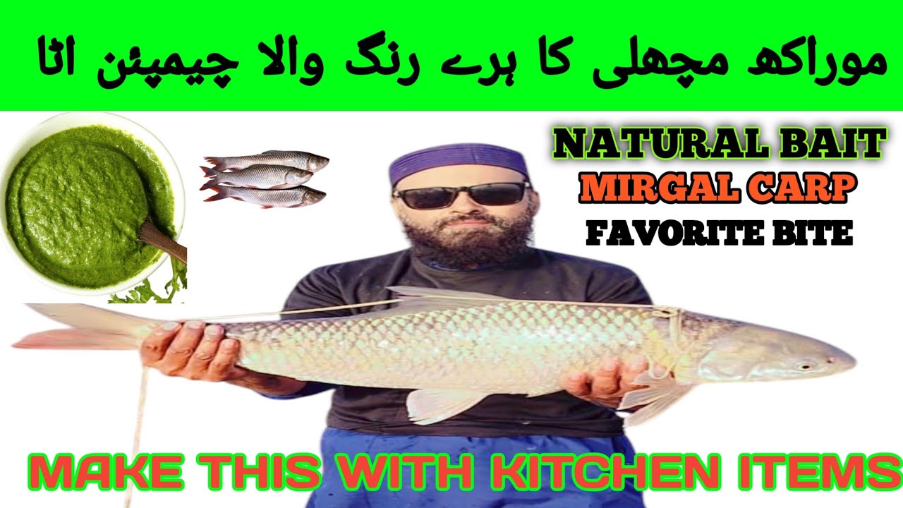 Green mirgal carp hook baits for all seasons||Mirgal fishing natural green baits