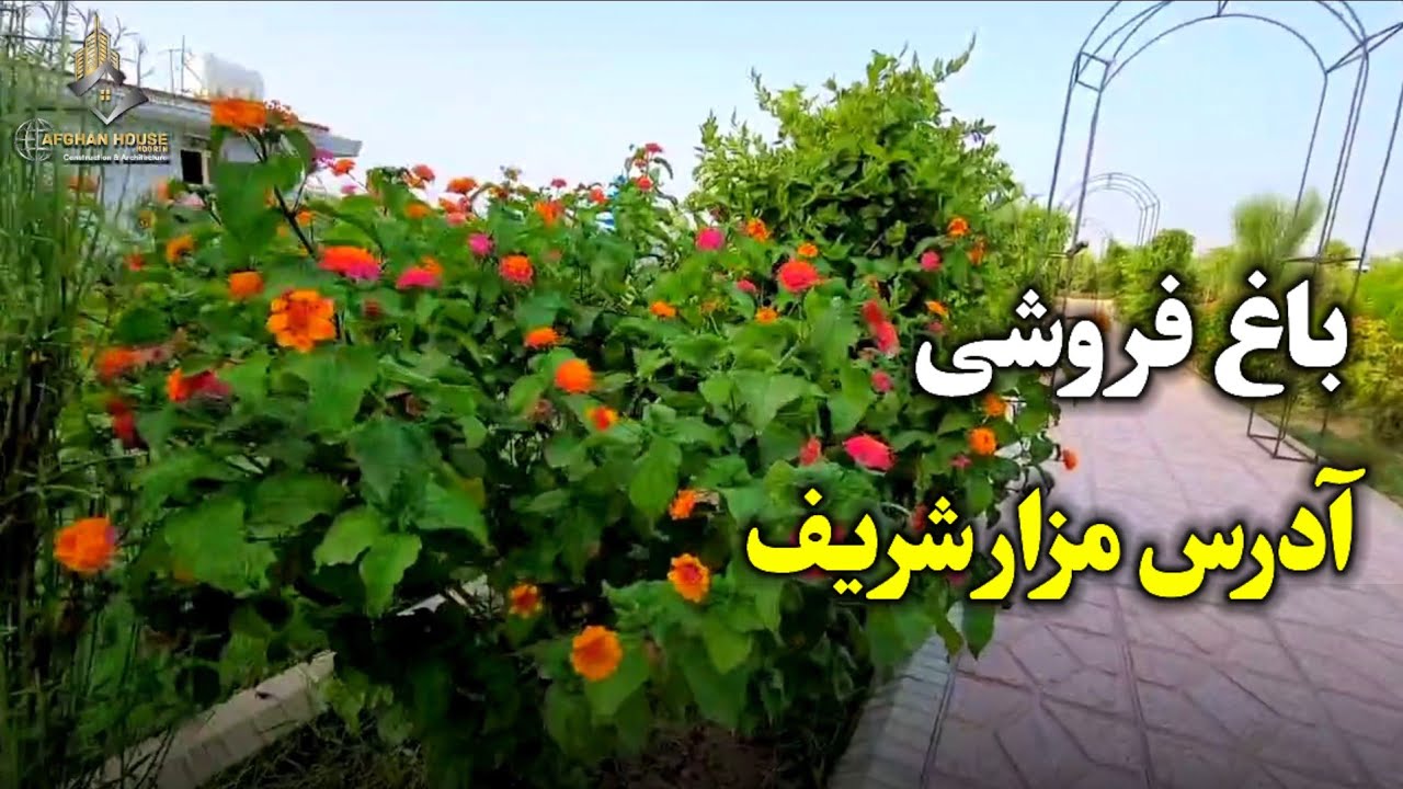باغ خیلی زیبا فروشی در مزار شریف !