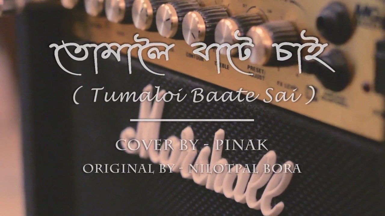 TUMALOI BAATE SAI (NILOTPAL BORA) - COVER BY PINAK