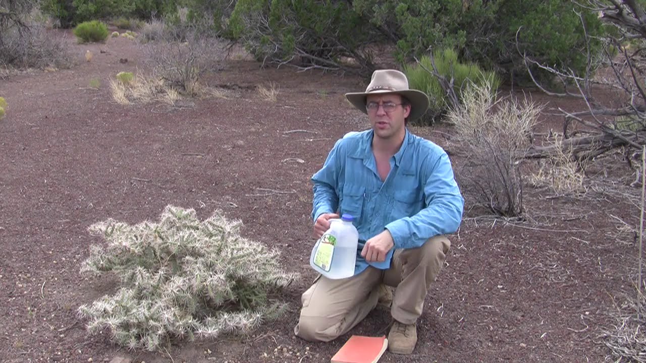 Planning Ahead: Desert-Water Myths & Misconceptions
