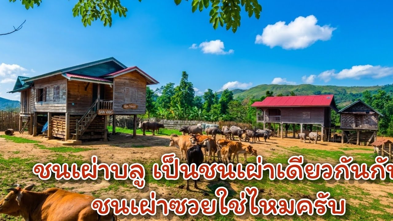 ชนเผ่าบลู เป็นชนเผ่าเดียวกันกับชนเผ่าซวยใช่ไหมครับ?