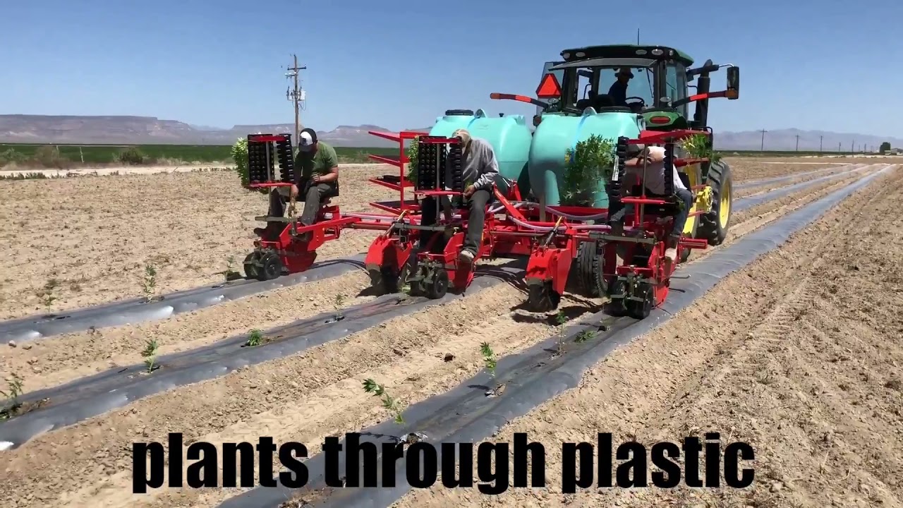 Product compilation - Bish Enterprises / Hemp Harvest Works