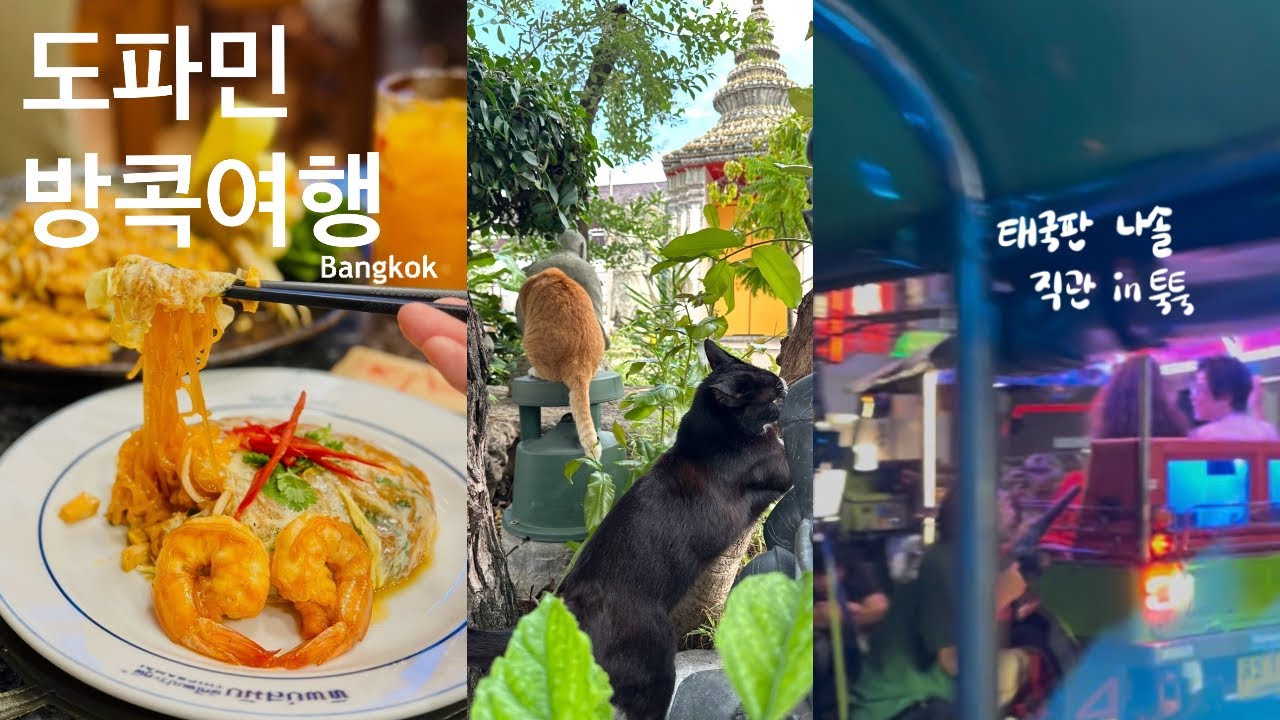 🇹🇭 도파민 풀충전 방콕여행 알차게 하기 | 속성 왕궁 투어, 맛집, 차이나타운