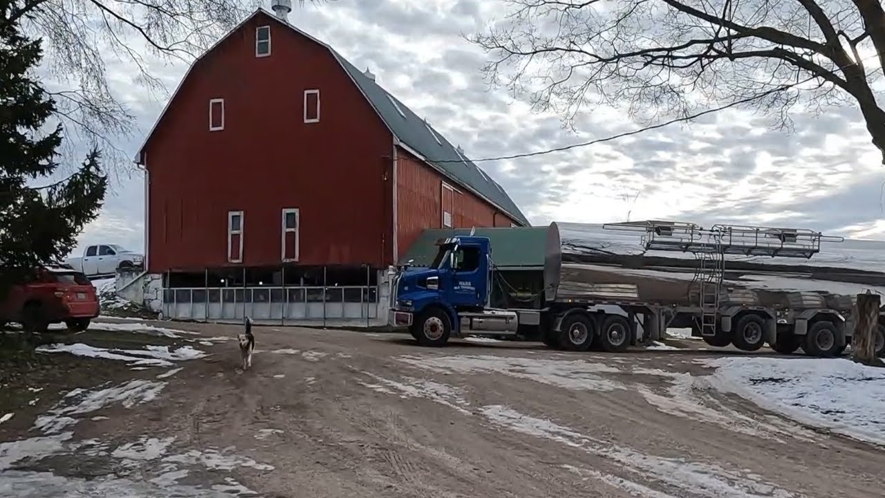MIlk Truck is Here