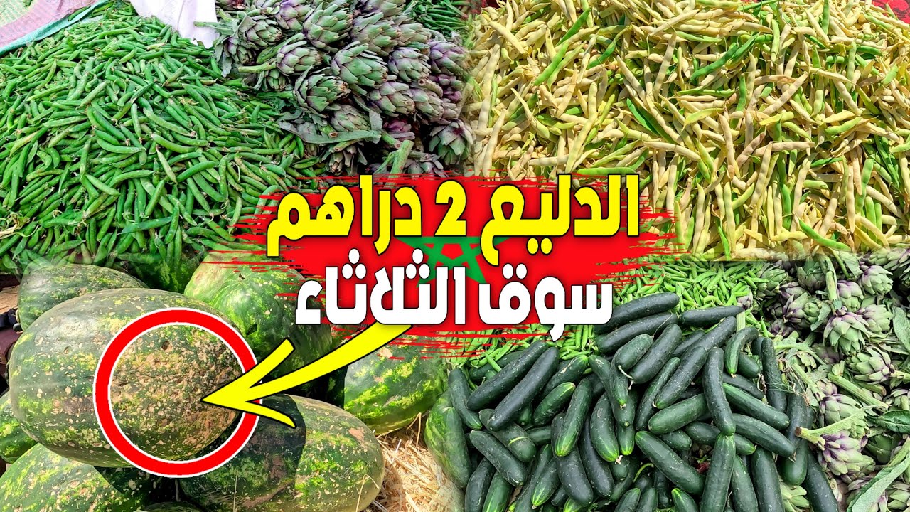 إنخفاض أثمنة الخضر والفواكه اليوم بسوق الثلاثاء بركان والدليع ديال زاݣورة ب2 دراهم شنو السبب Berkane