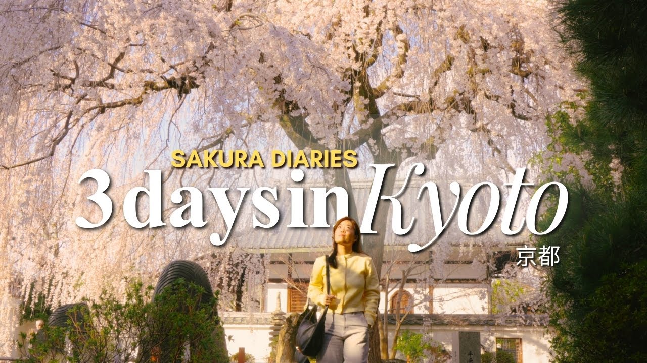 🌸 Kyoto in Spring (3-day itinerary)| sakura spots, food, sakura festival | Cozy Japan Vlog
