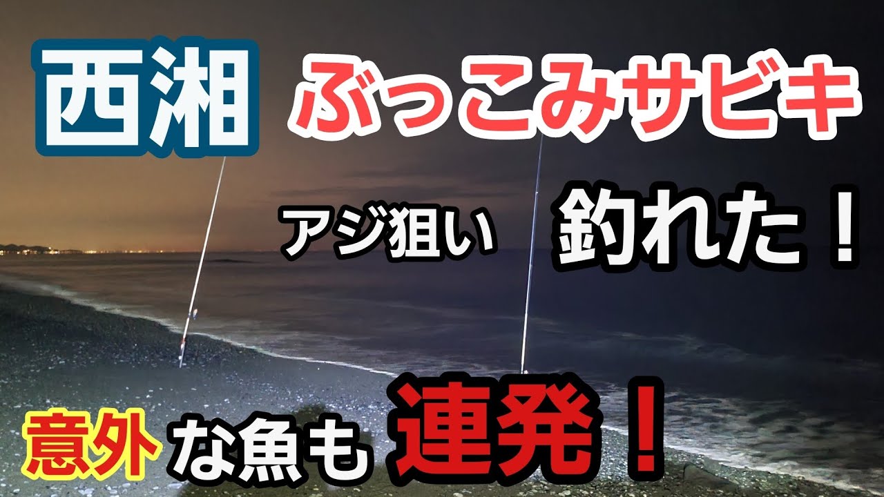 【西湘サーフ】ぶっこみサビキで釣れた！アジパワー作戦　2023年1月下旬   大潮